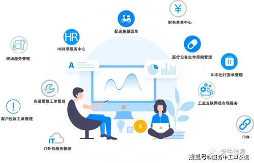 SaaS 数据处理服务在中国的现状与未来